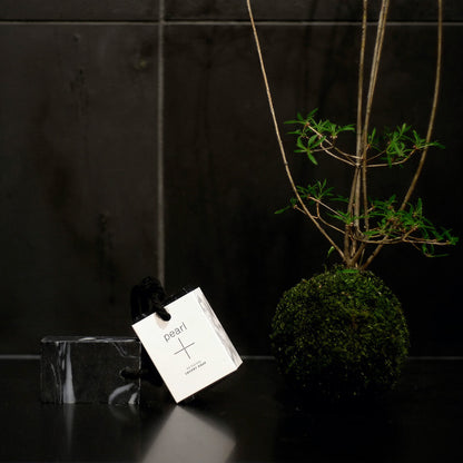 Pearl+ Detox Whole Care Bar Soap